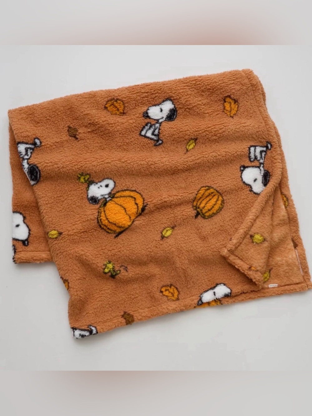 American Eagle x Snoopy Blanket